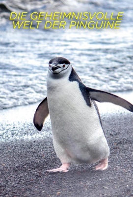 Секреты пингвинов